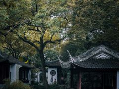 -秋霞圃