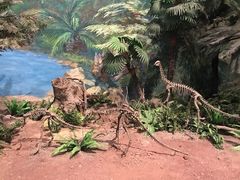 -自贡恐龙博物馆