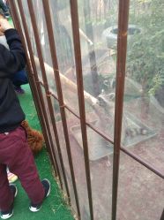 -萌宠亲子动物乐园(槐房万达店)