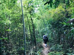 -鸡枕山