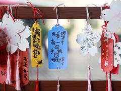 -东平国家森林公园