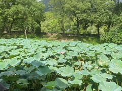 -兰亭风景区