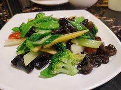 -TORA音乐酒馆