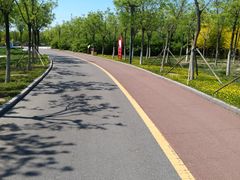 -天津东丽湖风景区