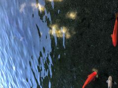 -水前寺成趣园
