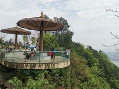 -铁山坪森林公园