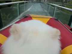 -陶祖圣境风景区