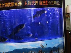 -潇湘码头·鲜湘菜(清河店)