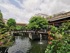 -猪肉婆私房菜(容桂总店)