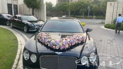 -宁波甬诚婚车(新典路店)