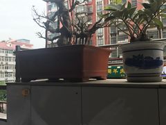 -三兴涮羊肉(荣安大街店)