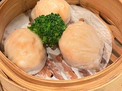 -誉八仙粤菜(万象天地店)