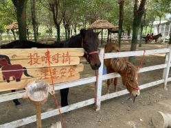 -优沃得自然教育农场·冰雪乐园·生日会·研学