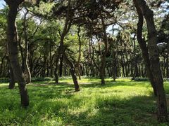 -长春市南湖公园