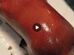 -大鸭梨烤鸭(金色漫香店)