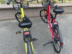 -横琴客运码头