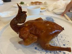 -五谷芳乳鸽王(海景店)