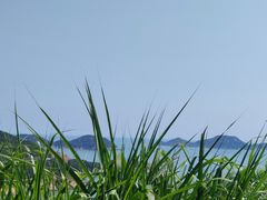 -温岭石塘海边