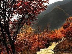 -北京上方山国家森林公园