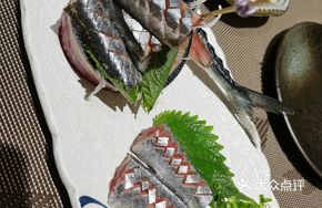 Saury Sashimi
