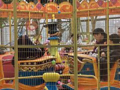 -南宫五洲植物乐园