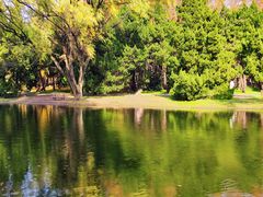 -上海共青森林公园