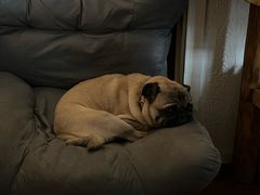 -绍兴名菜馆(可乐路店)