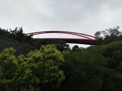 -金鸡山公园