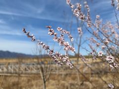 -野鸭湖国家湿地公园