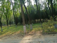 -东升八家郊野公园