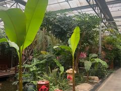 -金稼园·金平湖农家菜