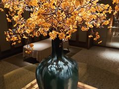 -浅深(北京北四环精品店)