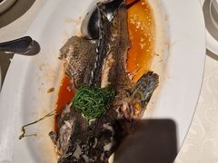 -悦海堂(金融街购物中心店)