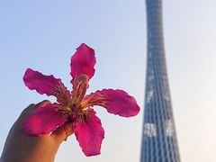 -海心沙亚运公园