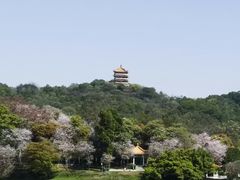 -鹿鸣酒家(越秀店)