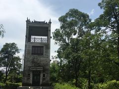 -大亚湾红树林城市湿地公园
