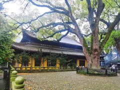 -阿育王寺