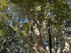 -La Creperie法餐厅(桃江路店)