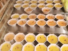 -成老灶火锅鸡(平山店)