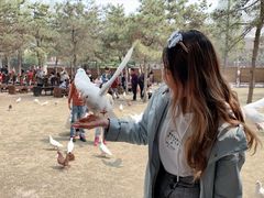 -美味居(古城店)