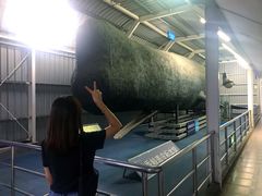 -厦门海底世界