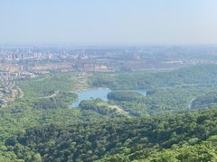 -南京老山国家森林公园