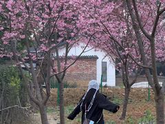 -三圣花乡旅游区