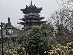 -杭州半山国家森林公园