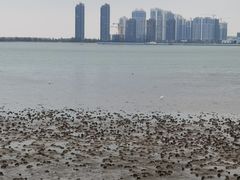 -万绿园