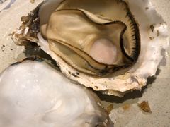 -千岛蚝高压锅生蚝·人参火锅(白云万达店)