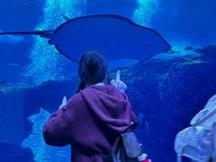 -成都浩海立方海洋公园