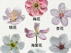 -桃源村(老门东店)