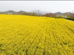 -西海岸生态观光园