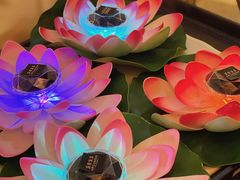 -广州花园酒店